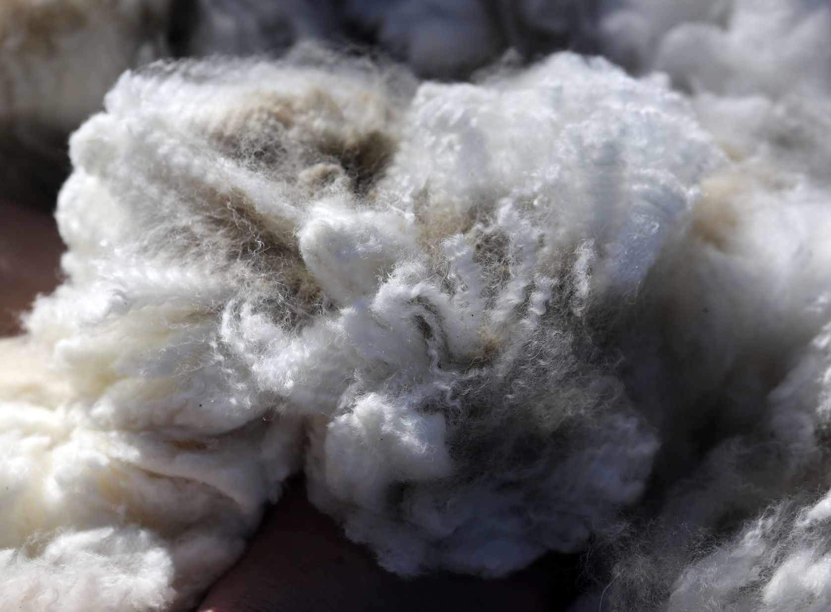 MG Alpaca Fiber 102519